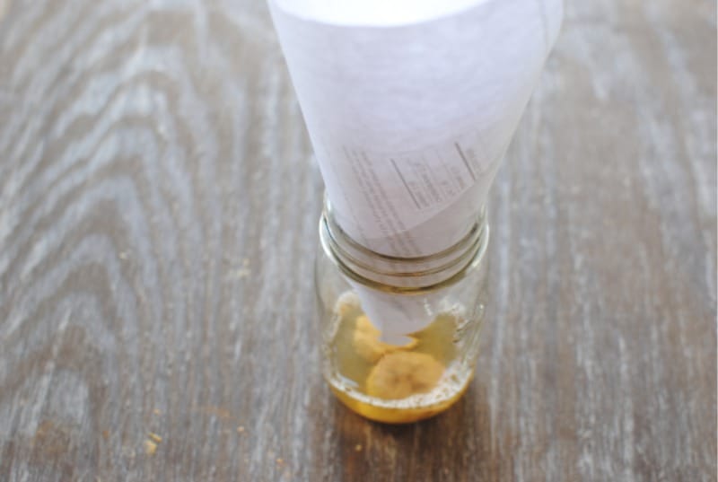Frukt Fly Trap