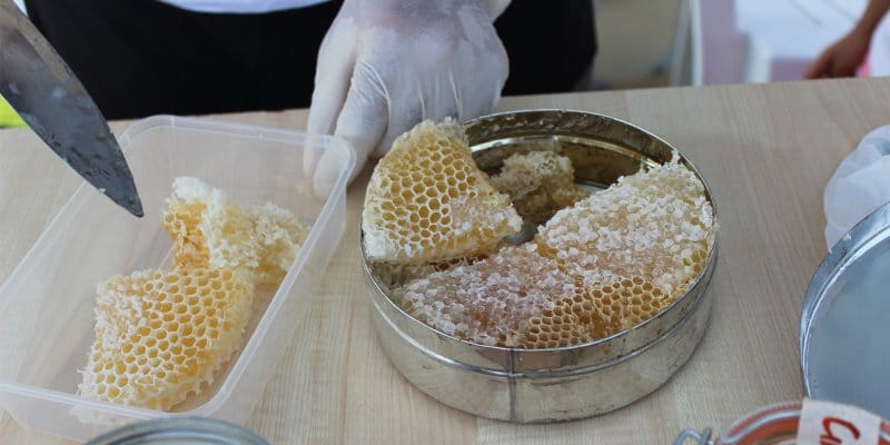 Honey storage i honningkamler