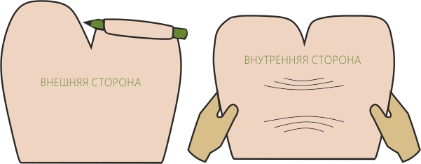 היווצרות של עלה כותרת של ורדים