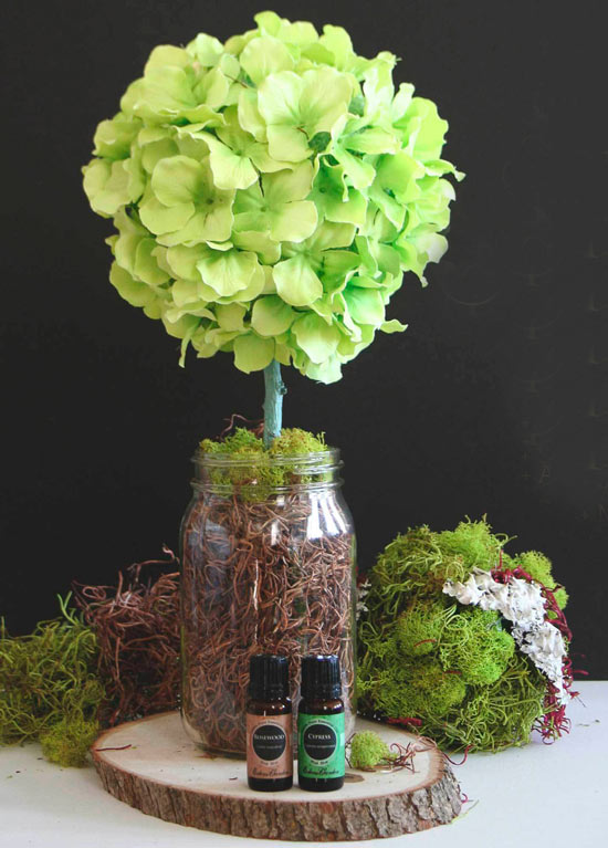 רעיון topiary